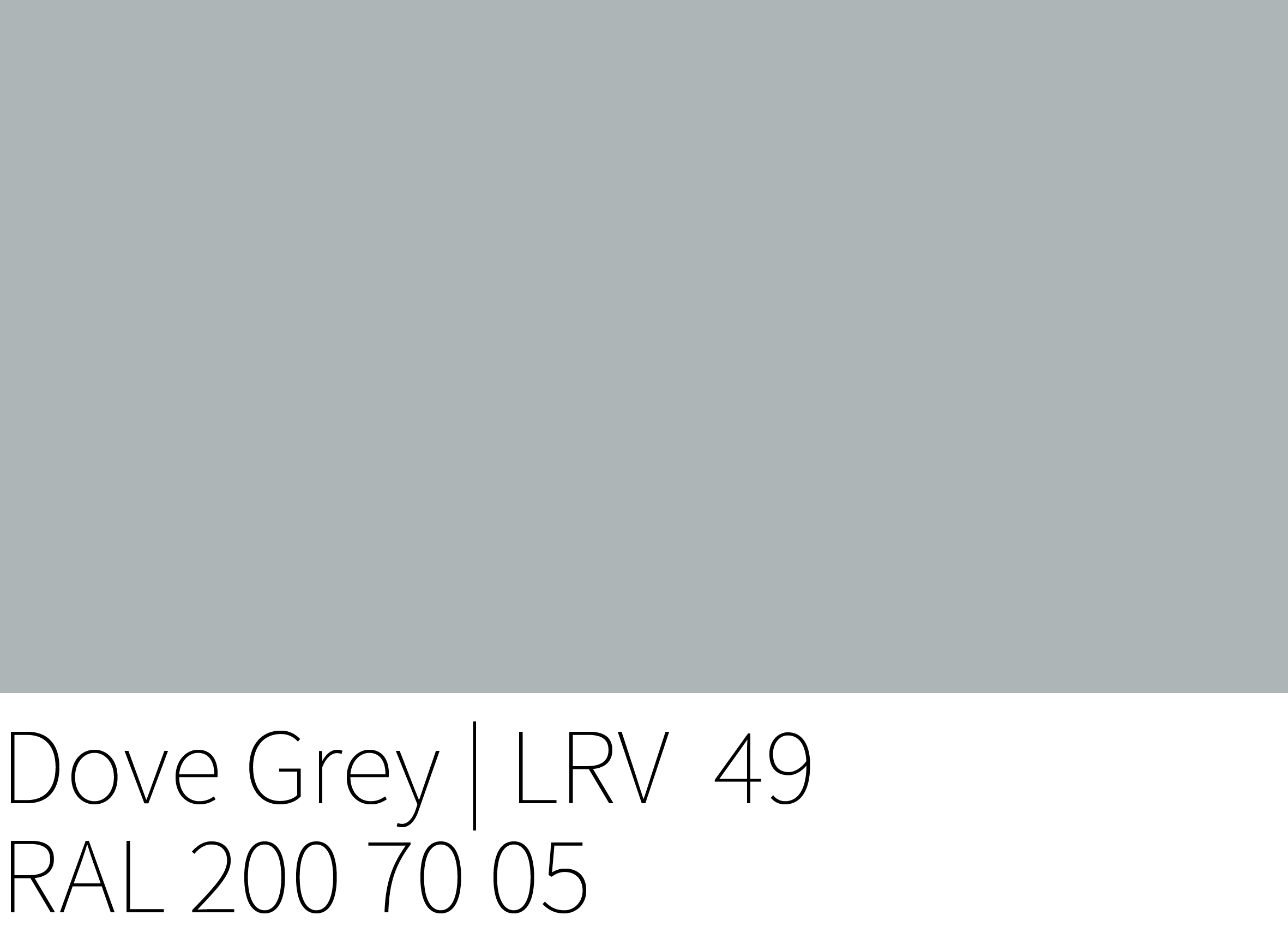 Dove Grey