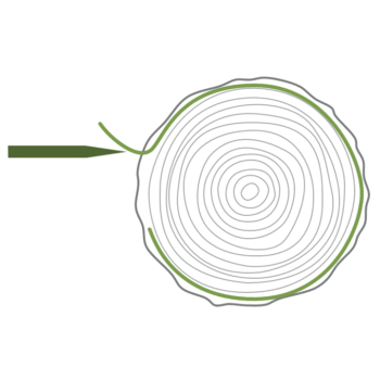 Rotary Cut Rotary Cut